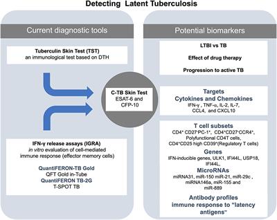 Diagnosis for Latent Tuberculosis Infection: New Alternatives